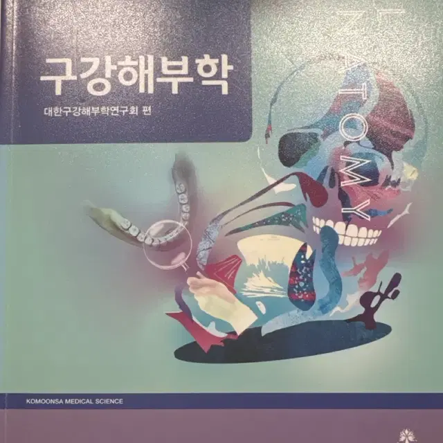 구강해부학