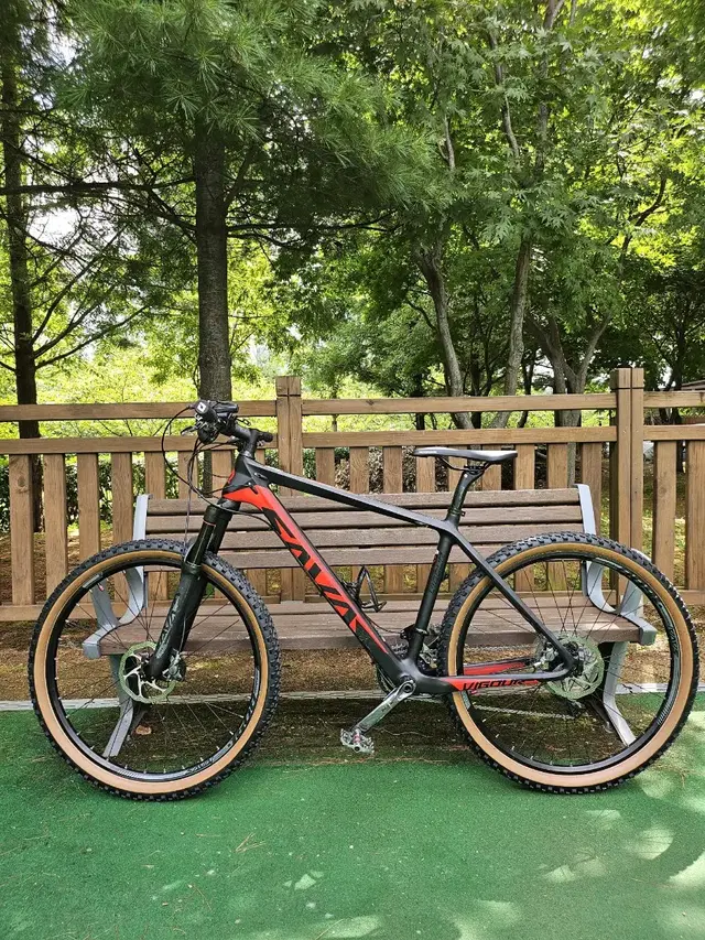 SAVA 풀카본 MTB 산악자전거 XTR 33단 판매 대차 합니다