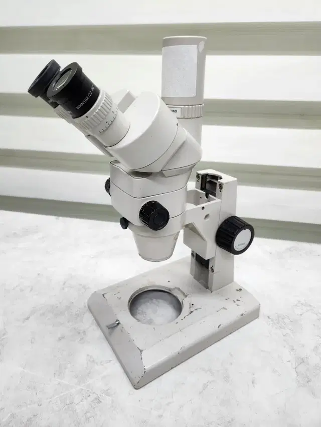 NIKON SMZ-2T Microscope 실체현미경