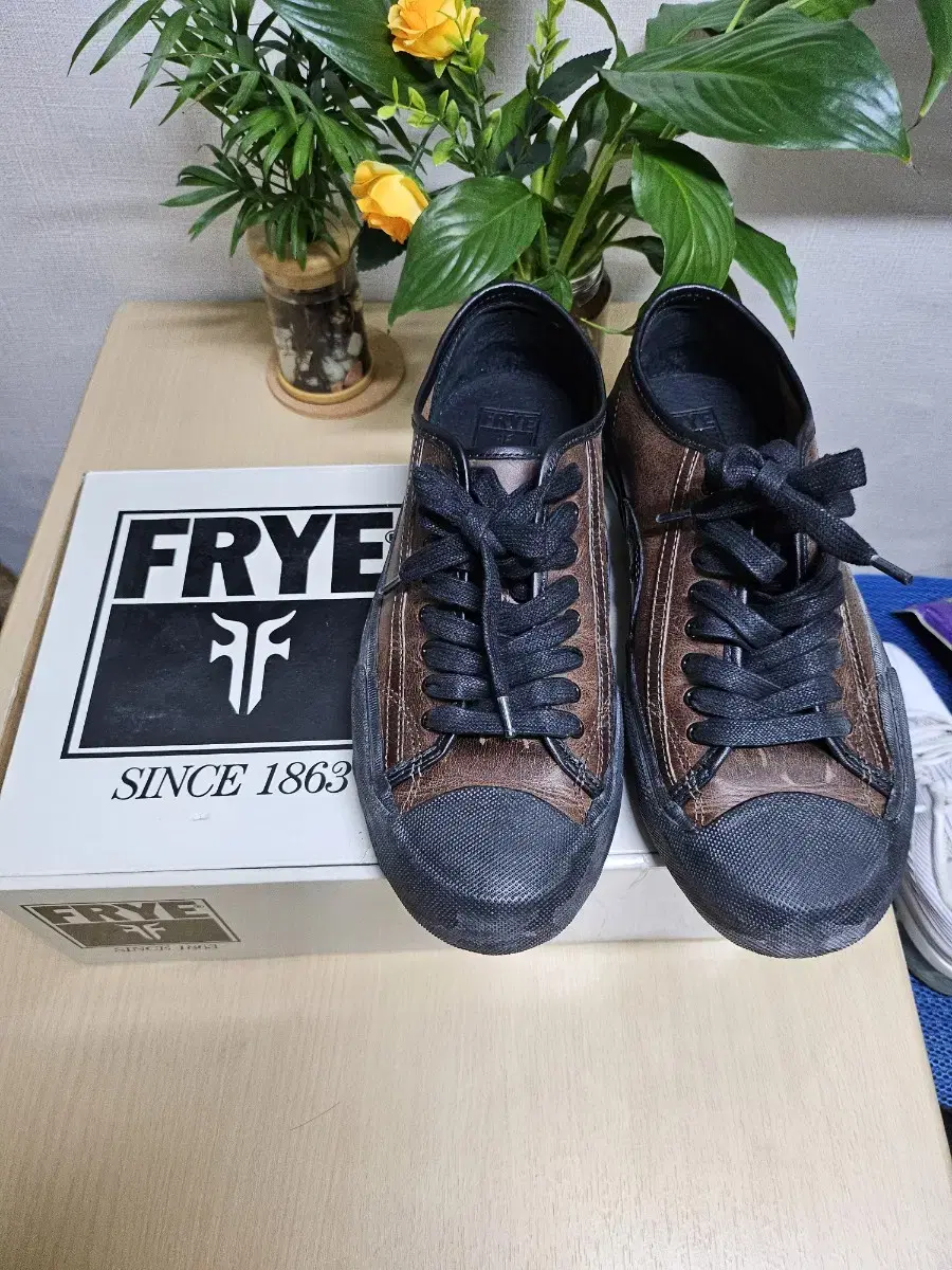 새제품 FRYE 프라이 스니커즈 브라운  265