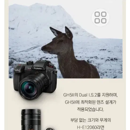 파나소닉 GH5 II 번들킷