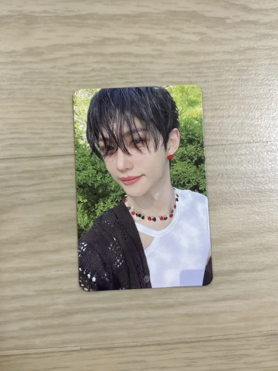 Maxident felix photocard