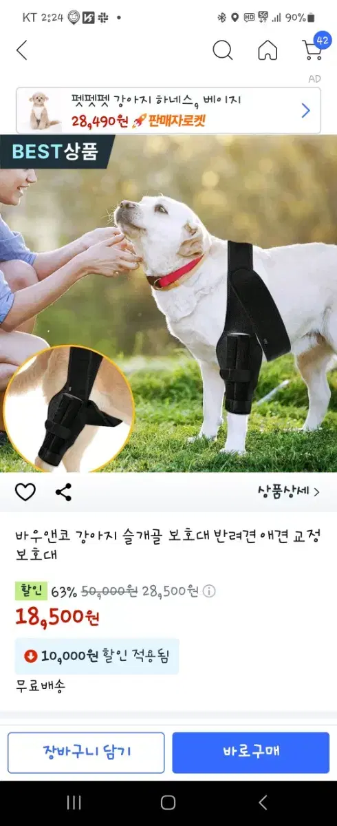 바우앤코 강아지 슬개골 보호대 반려견 애견 교정 보호대