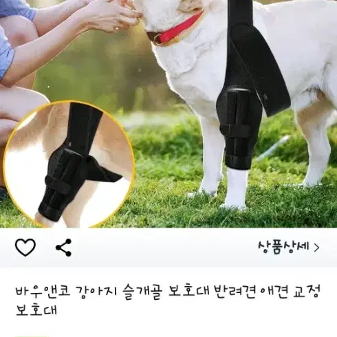 바우앤코 강아지 슬개골 보호대 반려견 애견 교정 보호대