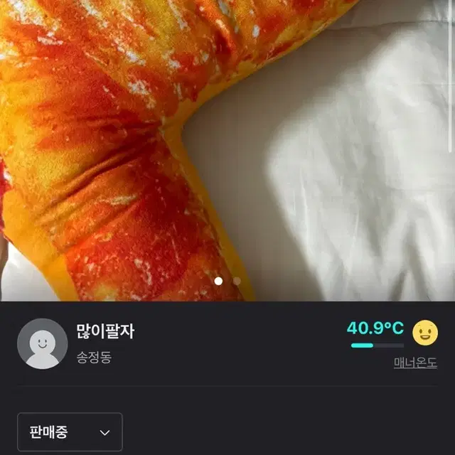 치킨 쿠션 팔아요