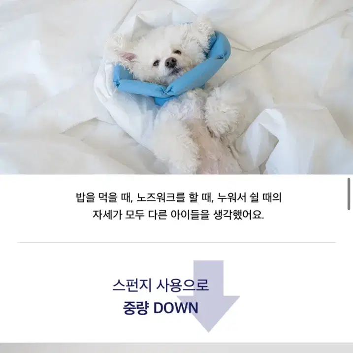 새제품/ 닥터설 각도조절 애견 강아지 고양이 목 넥카라 네이비