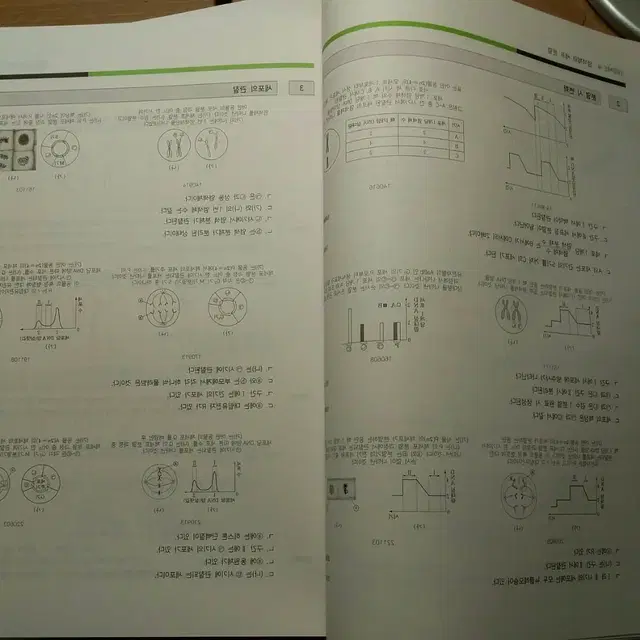 2025 시대인재 생명1 플로우,리바이벌 1,2,3권