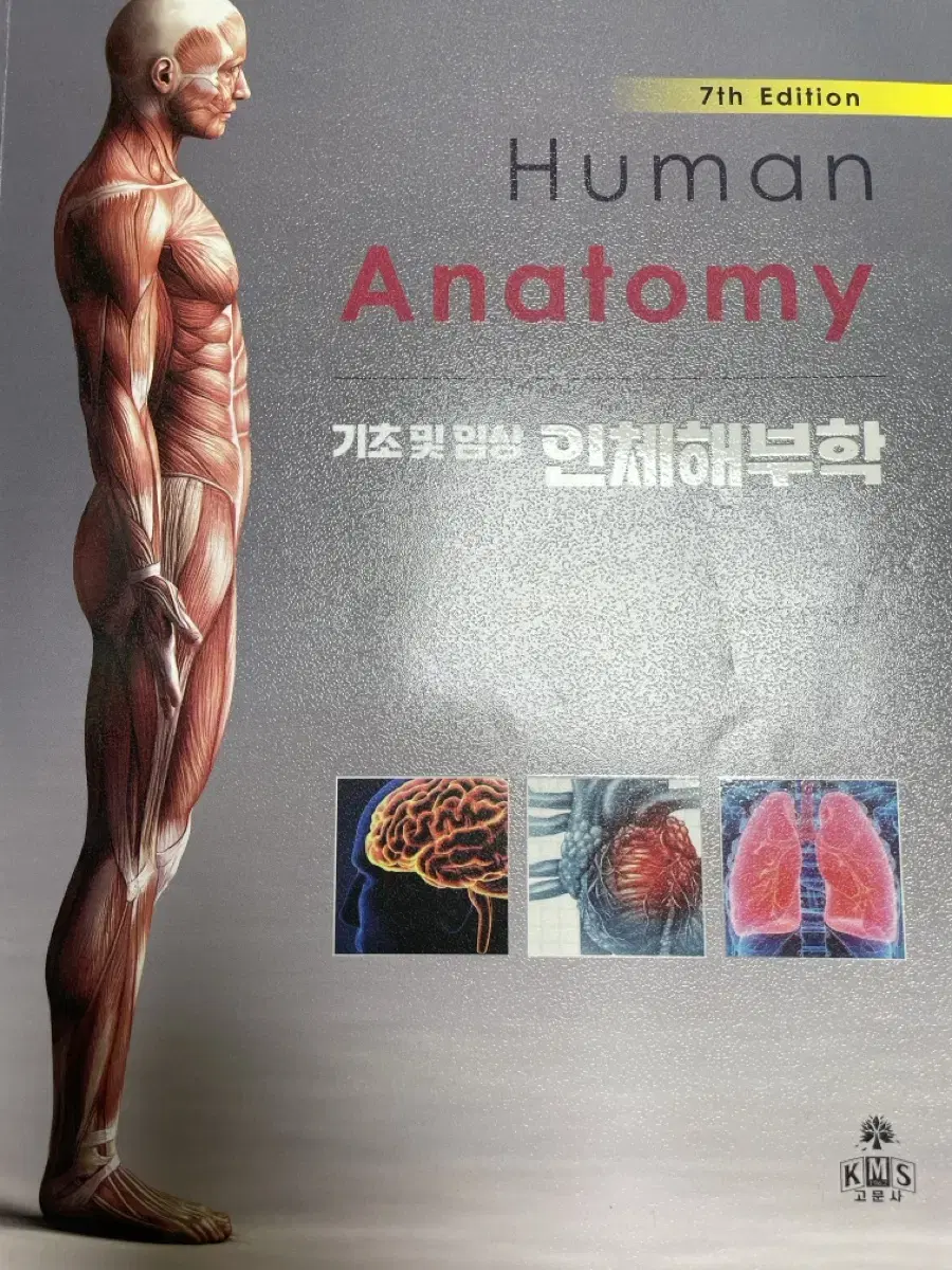 인체해부학