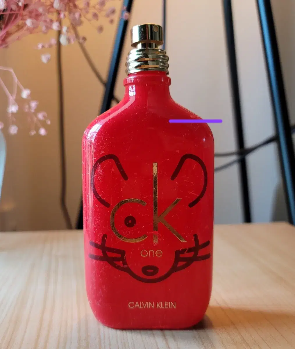 ck one 콜렉터스 에디션 EDT 100ml 향수