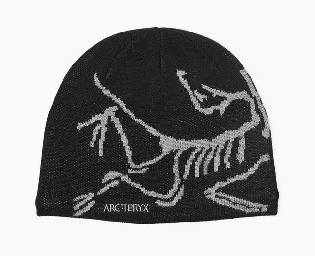 아크테릭스 버드헤드토크 arcteryx bird head toque