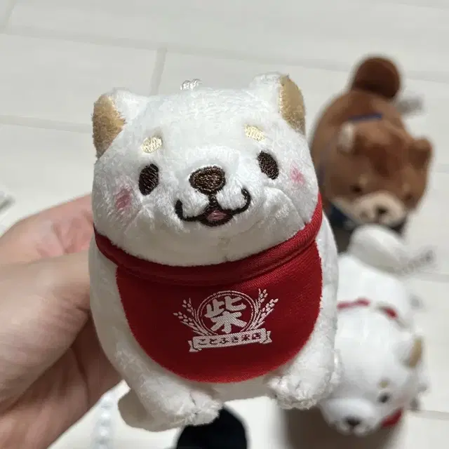 흰색 모찌시바 인형 키링 13cm