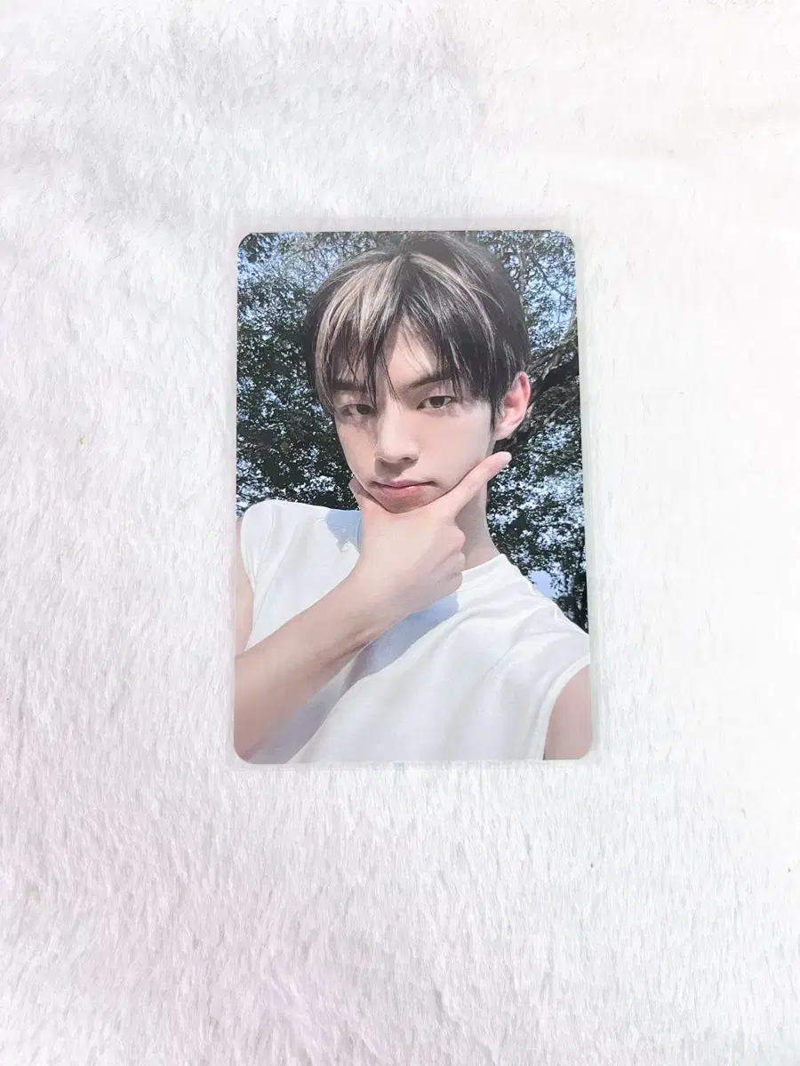 Tours Dohoon Summerbirt musicart photocard unreleased photocard WTS