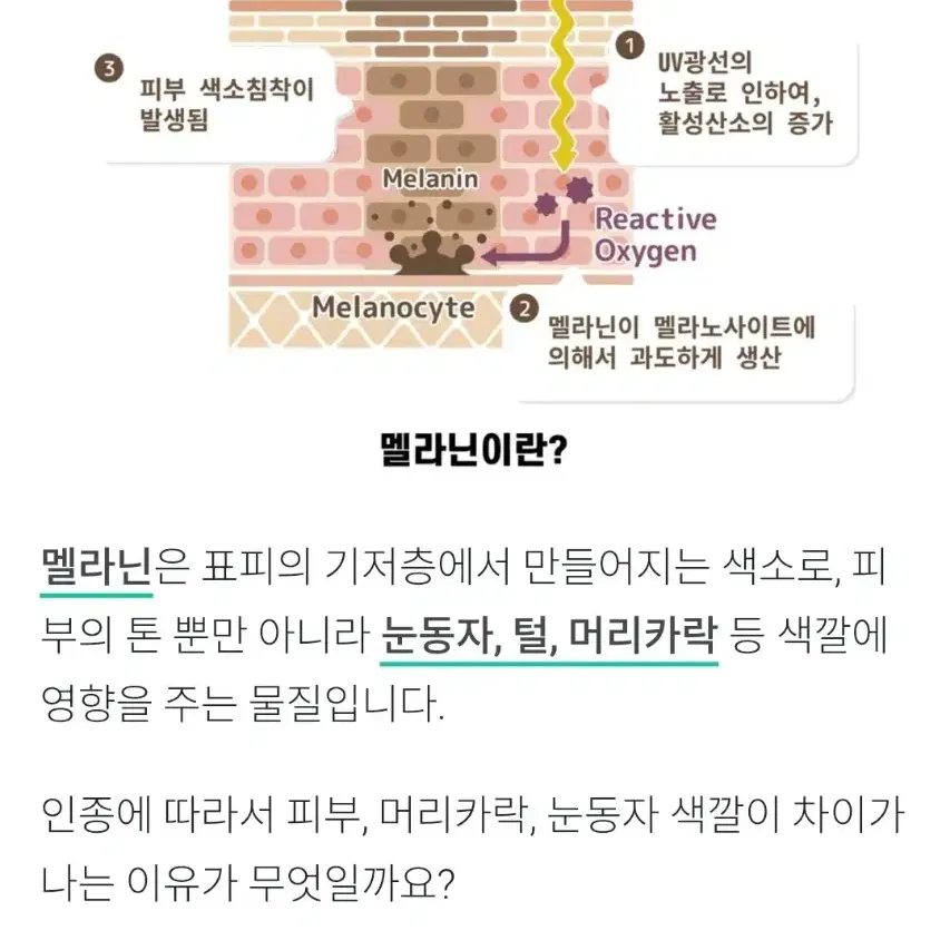 100%효과보장 토닝 레이저 필요X , 기미 주근깨 잡티 미백 기미 크림