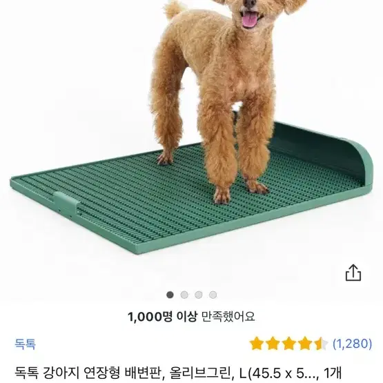 독톡배변판(연장형)