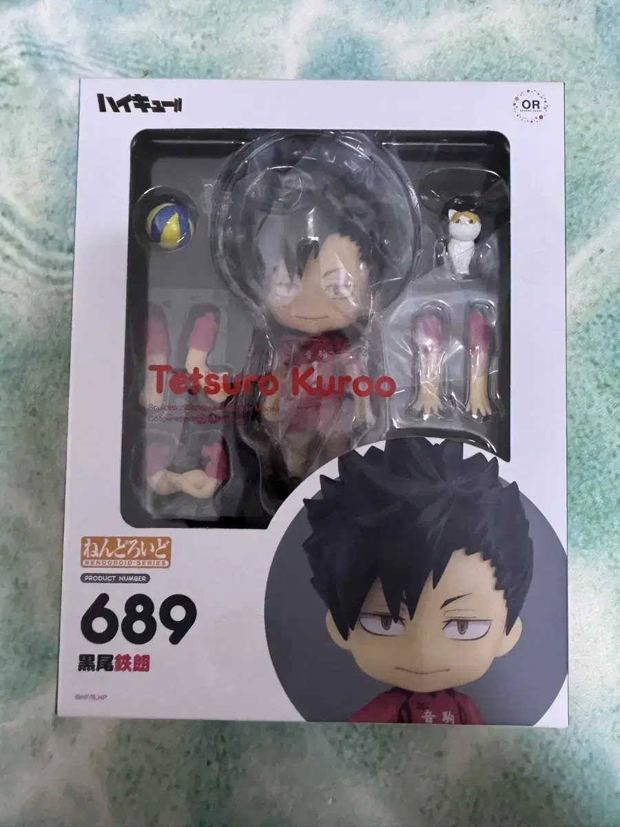 Haikyuu Kuroo Tetsuro Nendoroid Unsealed