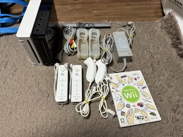 닌텐도 wii 정발