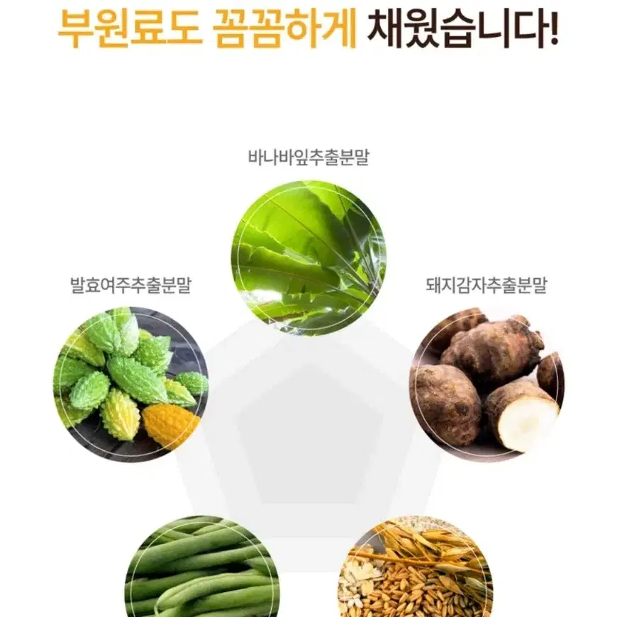 양춘사 추출물 사인 프리미엄 120정 바나바잎 추출분말 체중관리 다이어트