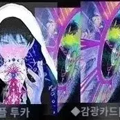 전독시 전지적 독자 시점 중국 간체판 2권 한수영 유중혁 투명 감광 카드