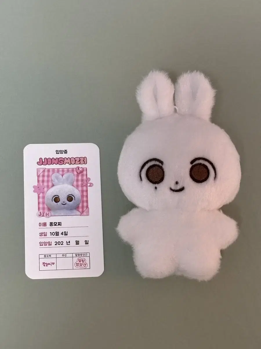 Seventeen jeonghan doll @chongmochi adoption certificate