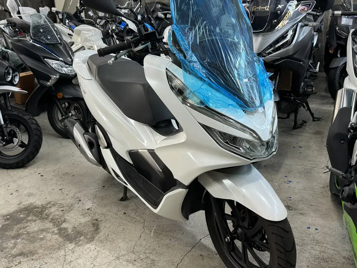 20년식 혼다 PCX125 중고 (66,109Km) 판매