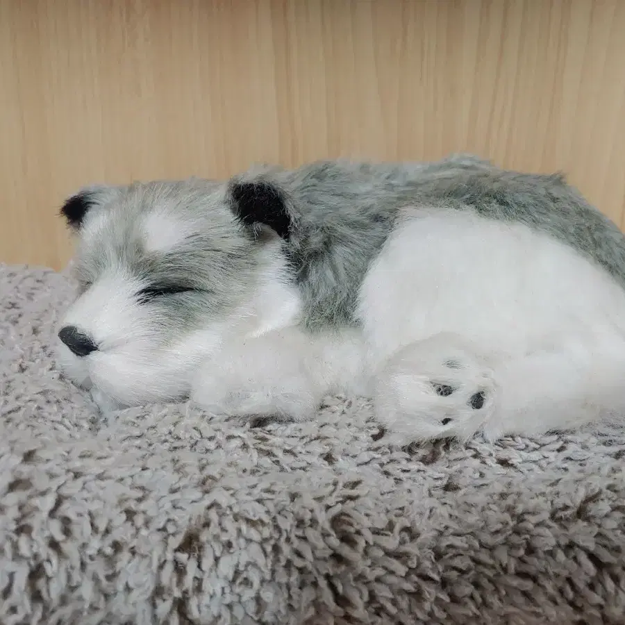 잠자는 고양이 강아지 인형