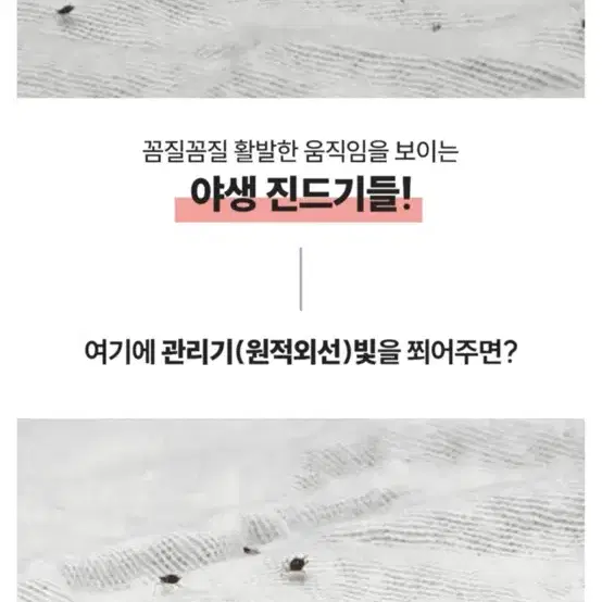 포그밍 적외선 펫드라이기