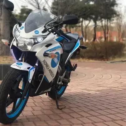 CBR 14년식 미놀타 풀튜닝