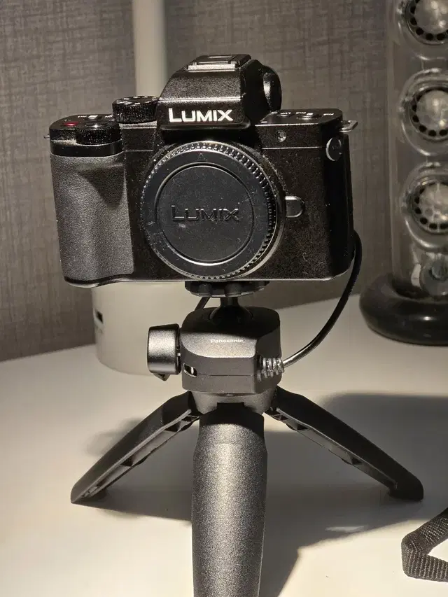 panasonic lumix g100 브이로그