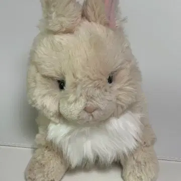 선레몬 라피누 토끼 인형 베이지 뉴진스 | 브랜드 중고거래 플랫폼