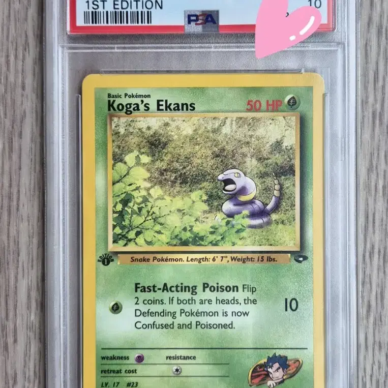 1st edition 초판 포켓몬카드 2000년 PSA10 독수의 아보