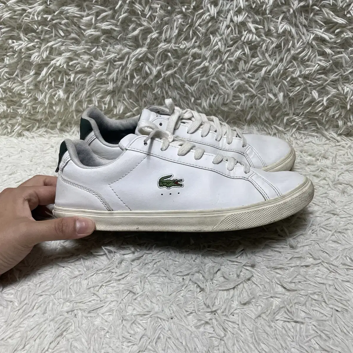 [250] LACOSTE 라코스테 스니커즈