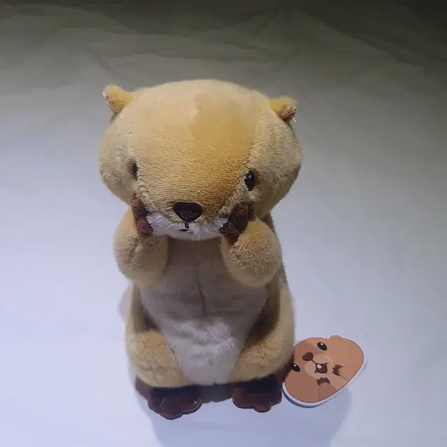 새상품) 오머나 프레리독 M사이즈 인형 23cm