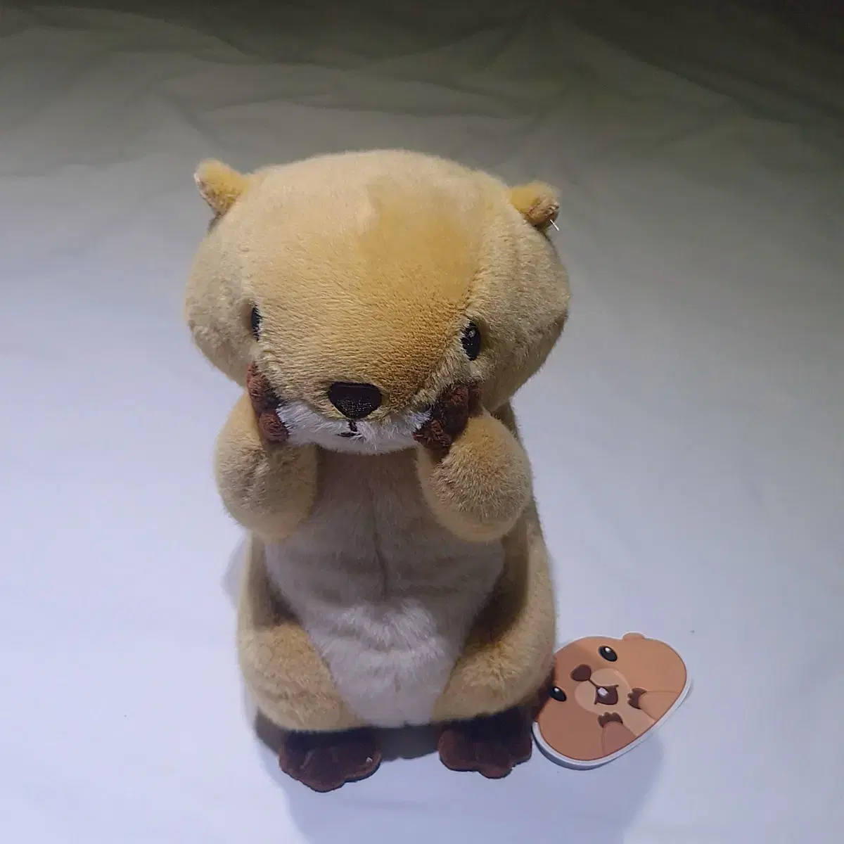 새상품) 오머나 프레리독 M사이즈 인형 23cm