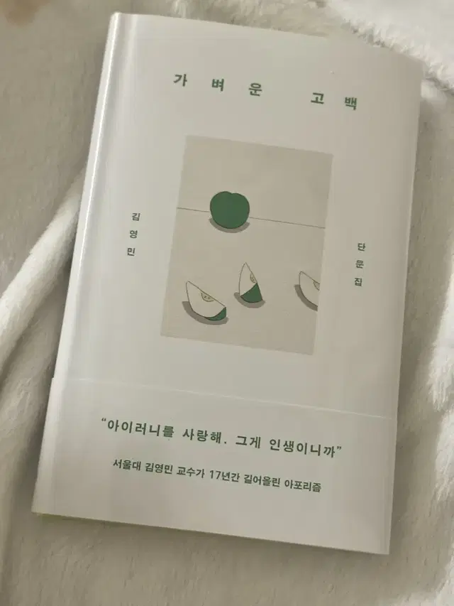 이옥토 김영민 가벼운 고백 책 양도해요