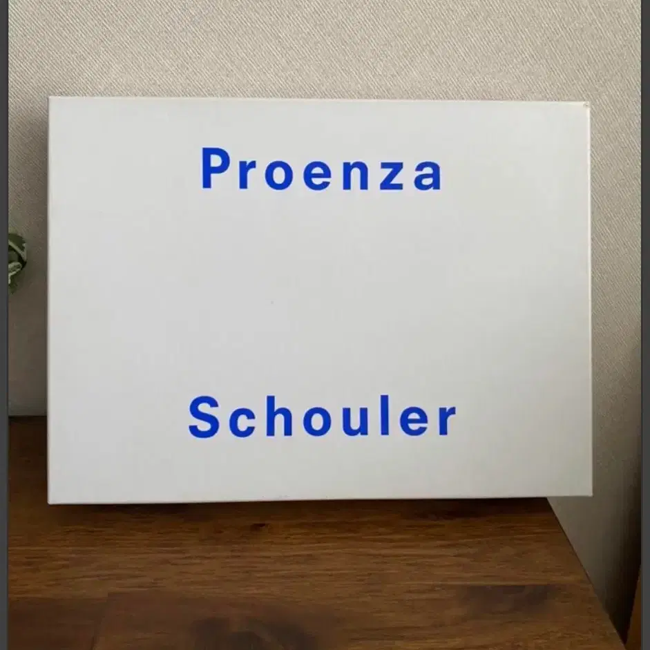 Proenza Schouler 프로엔자슐러 송치 클러치