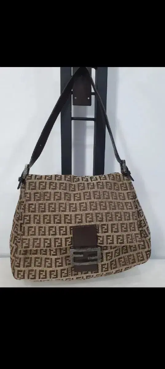 Fendi Zucca Mamma Bag