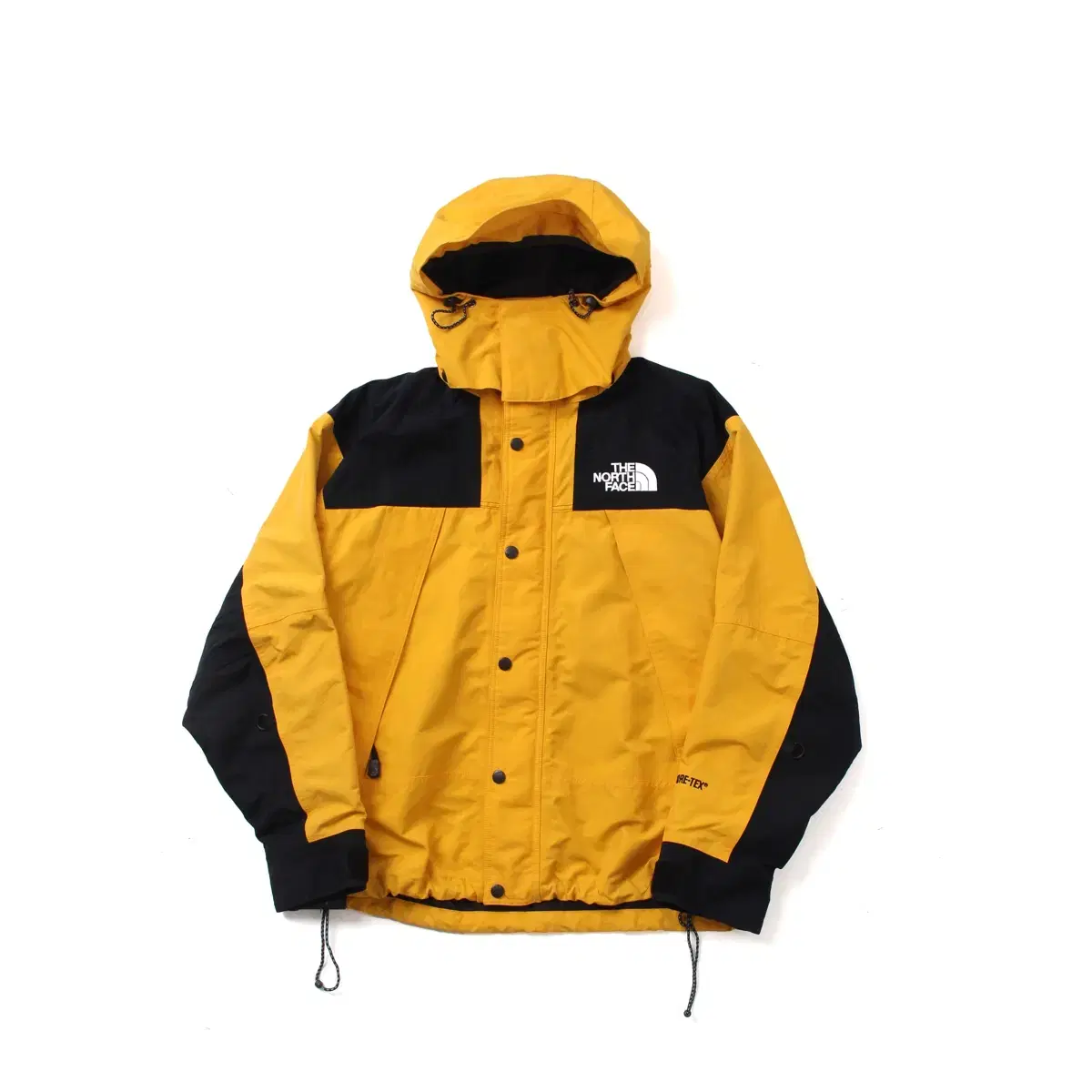 The North Face The North Face Gore-Tex Mountain Jacket