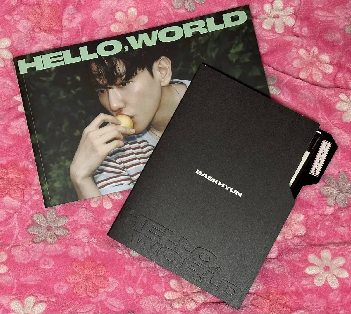 Baekhyun Hello World unsealed album 1 set WTS