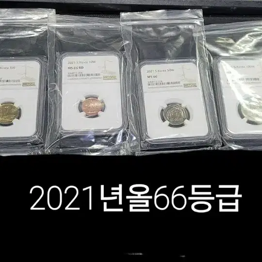 2021년 올66등급 멀티그레이딩