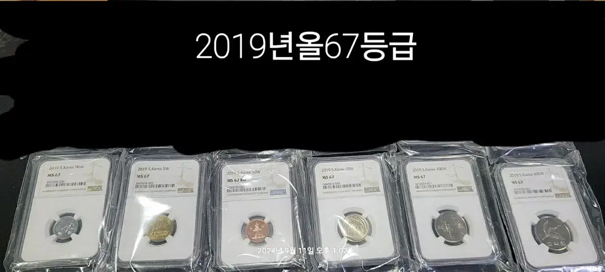 2019년 올67등급 멀티그레이딩