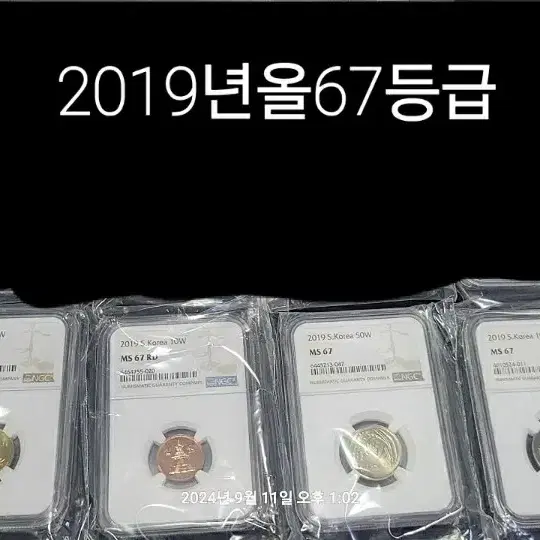 2019년 올67등급 멀티그레이딩