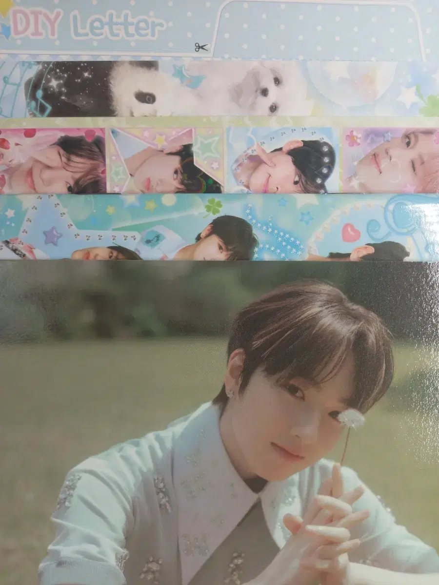 NCT Wish Songbird Sakuya Unsealed Album Full Set