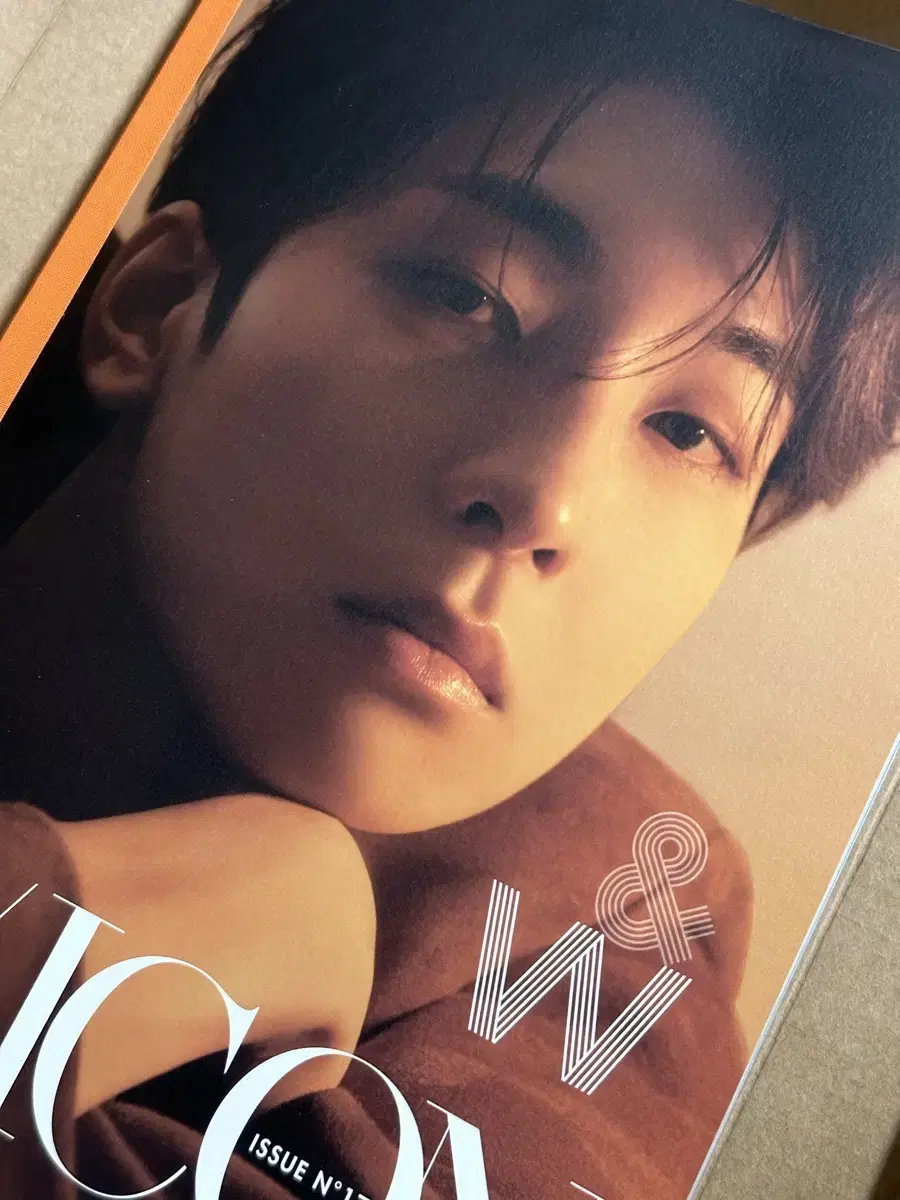 Seventeen wonwoo dikon Type A Full Box