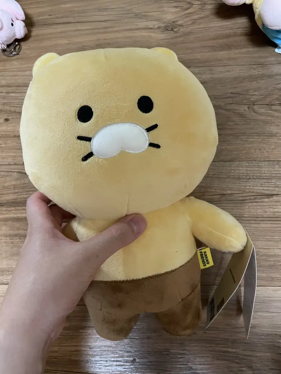 춘식이 베이직인형 27cm