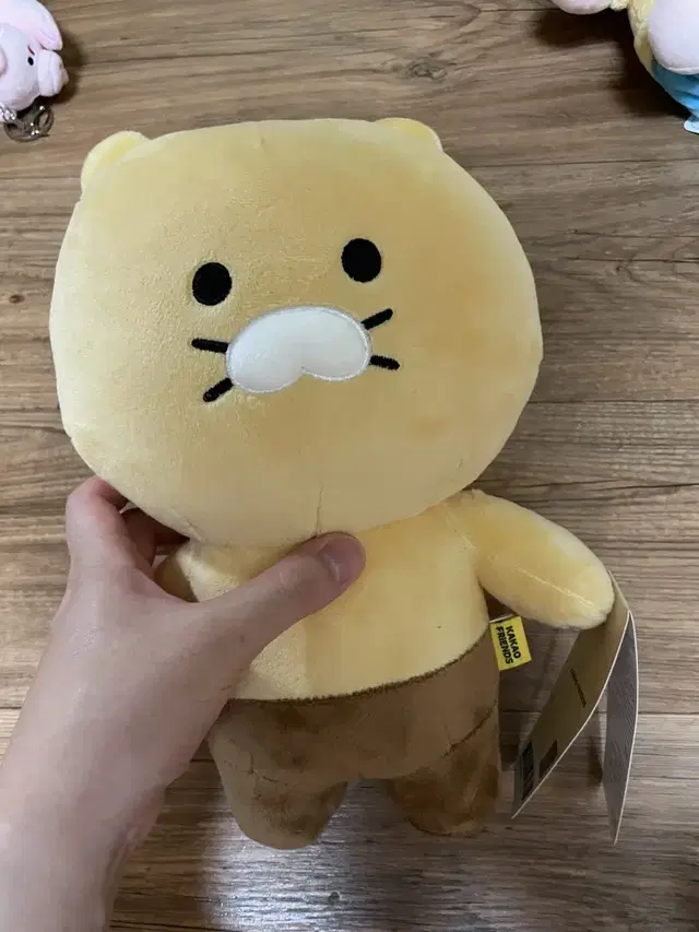 춘식이 베이직인형 27cm