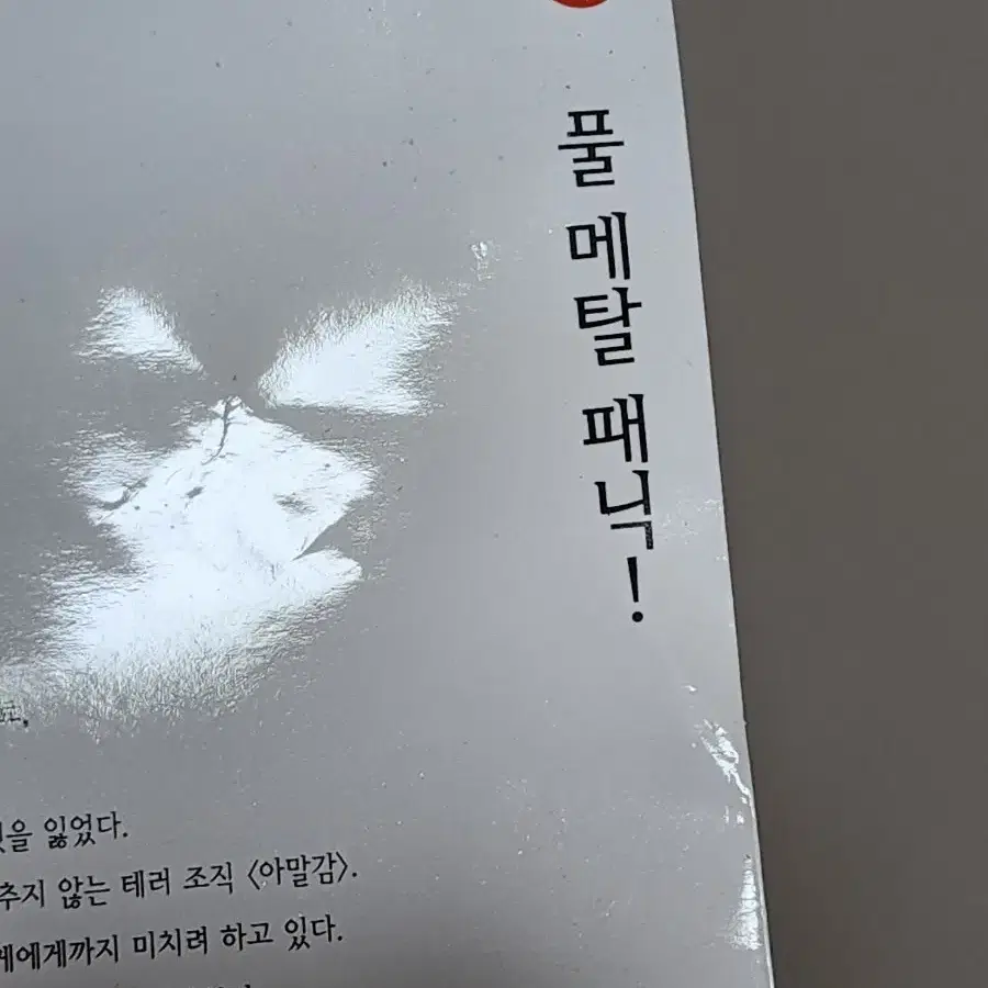 풀메탈패닉 굿즈팝니다