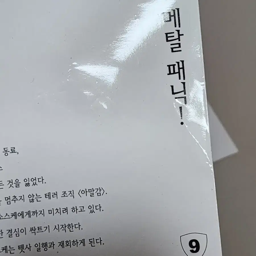 풀메탈패닉 굿즈팝니다