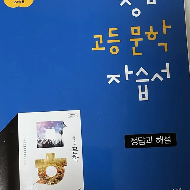 창비 고등 문학 자습서 팝니다!