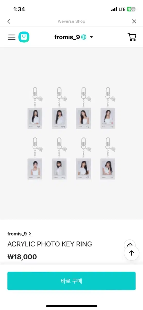 Fromis 9 Song Hayoung Keyring