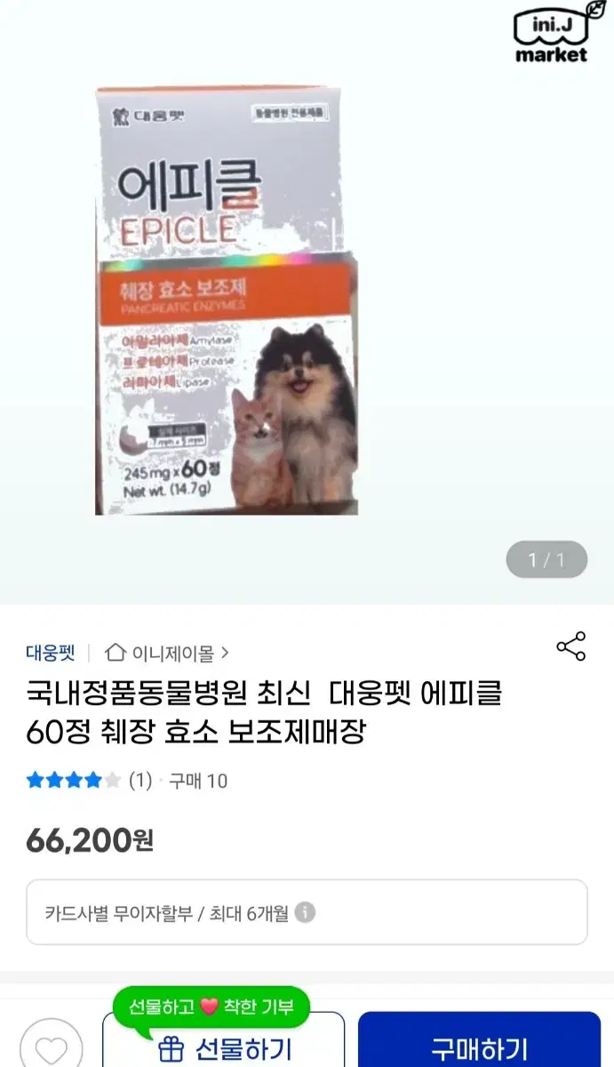 에피클 강아지고양이 췌장효소보호제 미개봉 반려동물